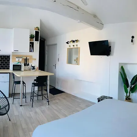 Jungle Et Nature Daire